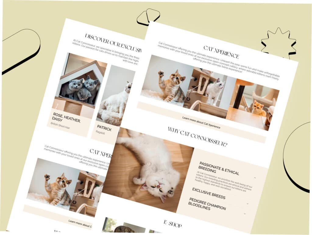 Pet website design showcasing cat environment and experience gallery