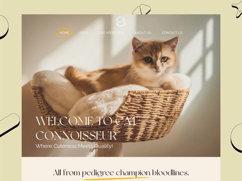 Cat breeder website design homepage featuring hero banner and clean navigation